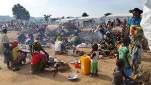 Lire la suite à propos de l’article Le Cameroun, un pays en CRISES : Présentation de la zone d’action humanitaire prioritaire 1 ENA (Extrême-nord, Nord et Adamaoua).